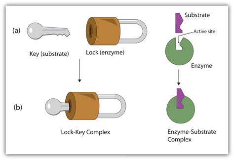 Determine the Cause of the Lock